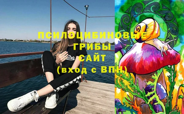 Альфа ПВП Навашино