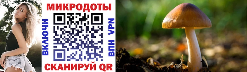 наркошоп  Нелидово  Галлюциногенные грибы Cubensis 